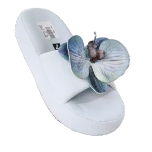 WEDGE SLIDES FLOWER D35-84