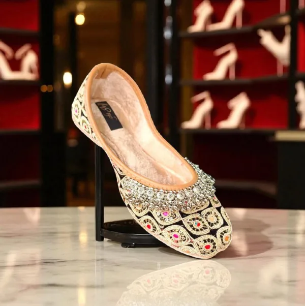 Royal Heritage Embroidered Jutti D35-100